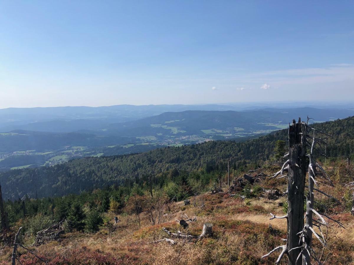 Wellnesshotel Riedlberg 4*